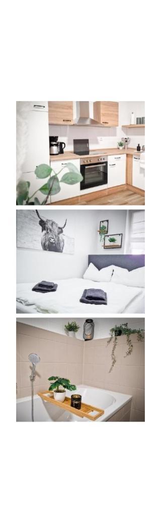 Grosszuegige Altstadtwohnung Lara Fuer 6 Personen Appartement
